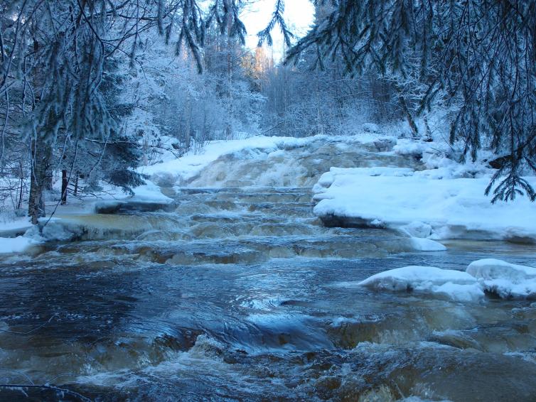 Kuohuava koski Lapissa